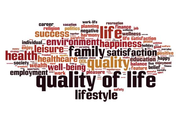 Quality Of Life Indicators As Performance Measures Isenberg School Of   Qualityoflifewords 